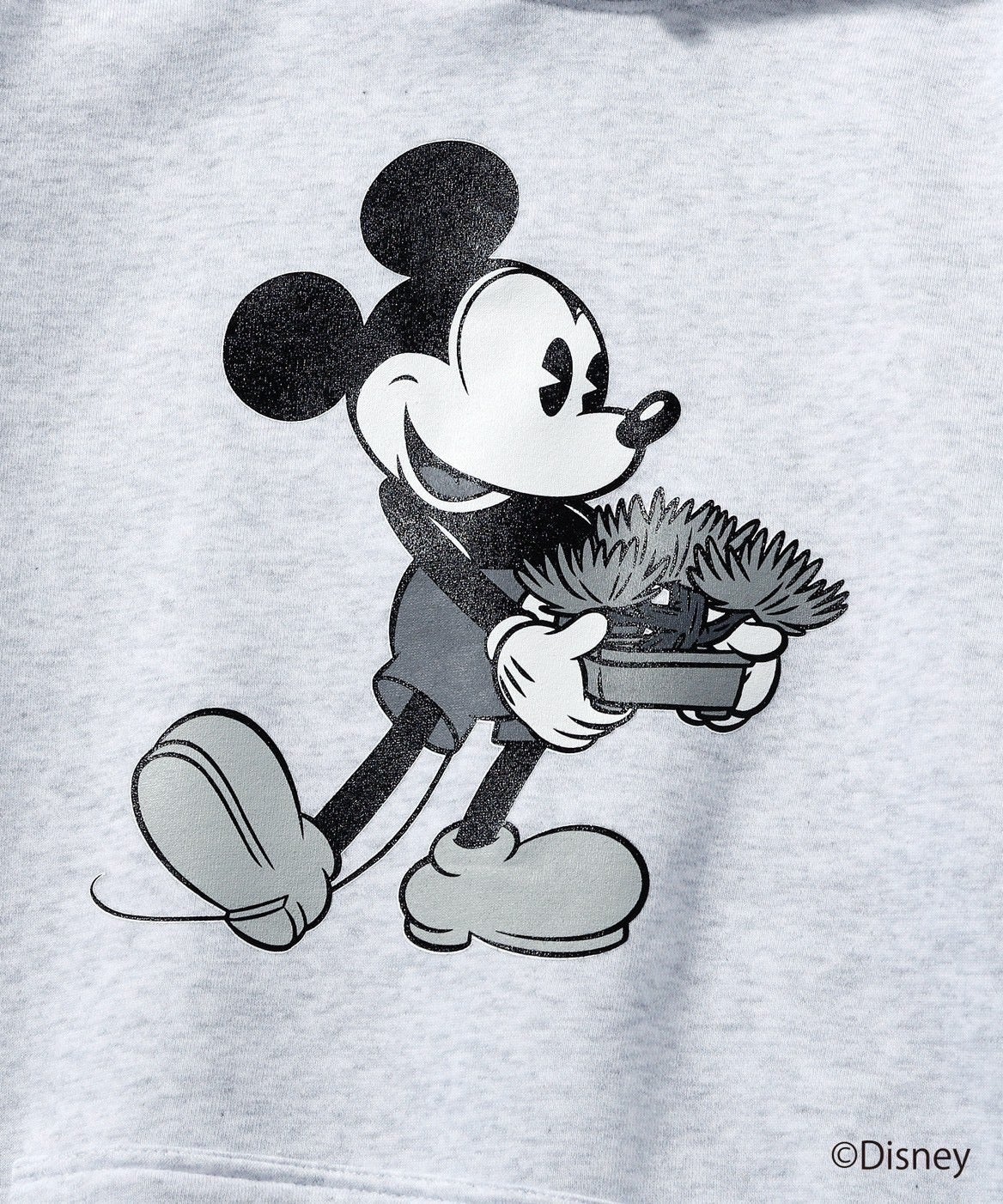 MICKEY MOUSE / BONSAI HOODIE | Scapes